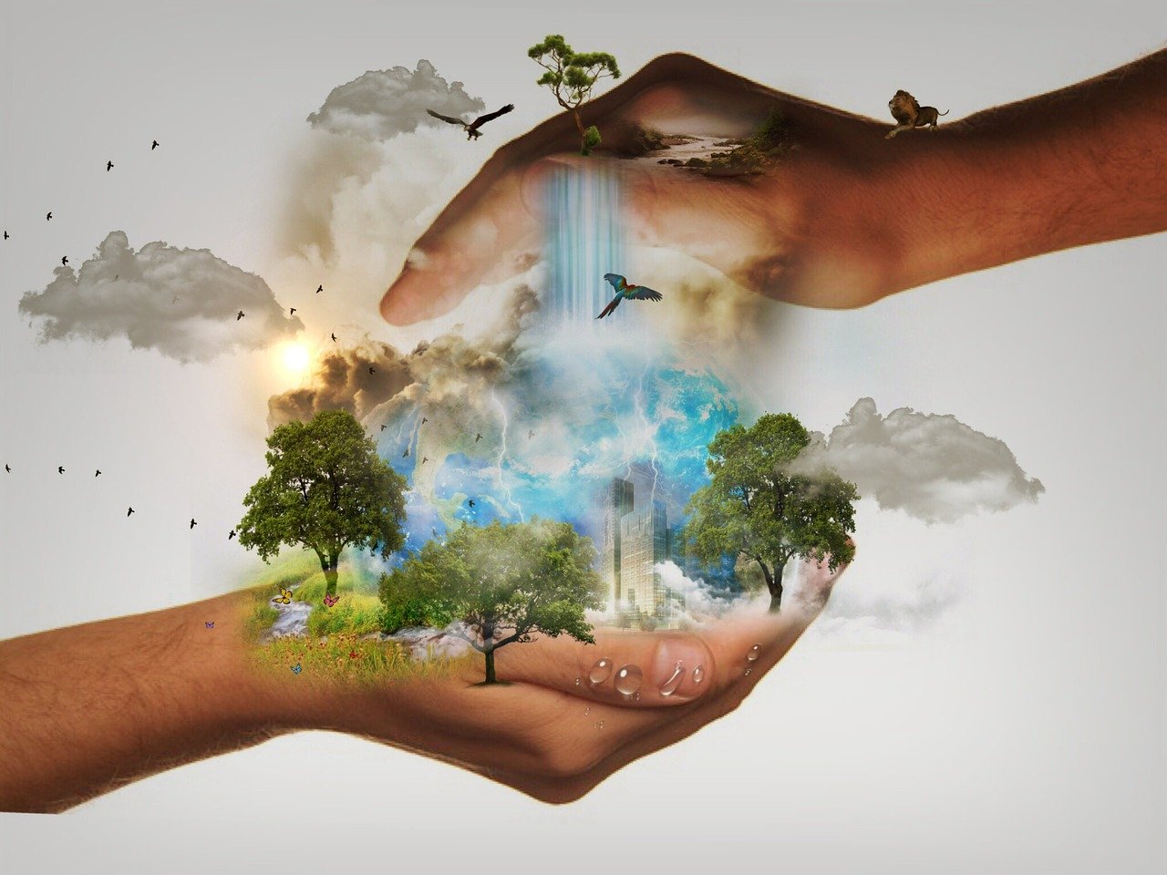 OPTATIVA: REALIDAD AMBIENTAL DEL PY 1ra-Parte - Espec. - Diciembre 2023