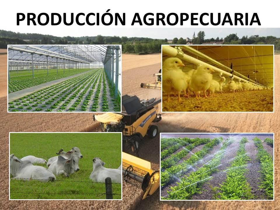 SISTEMA DE PRODUCCIÓN AGROPECUARIO - TS. En Agronegocios