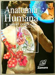 ANATOMÍA HUMANA Y SALUD - Espec. En Ciencias Naturales Abril 2025