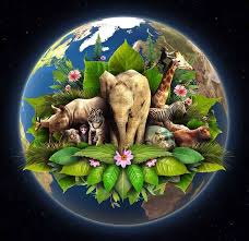 Didáctica de las Ciencias de la Naturaleza I 2º Parte - Esp. en Ciencias Naturales Abril 2025