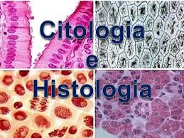 CITOLOGÍA E HISTOLOGÍA - Espec. En Ciencias Naturales Mayo 2025