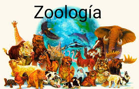 ZOOLOGÍA I - Espec. En Ciencias Naturales Mayo 2025