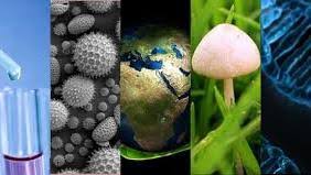 Biología General II - Esp. en Ciencias Naturales Mayo 2025